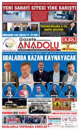 GAZETE ANADOLU