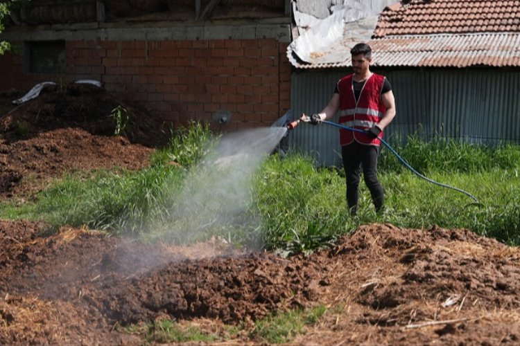 Düzce’de ilaçlama çalışmaları yeniden başladı